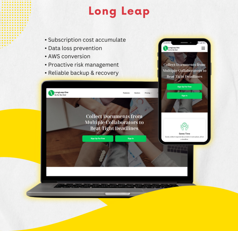 Long Leap Eleciam Portfolio
